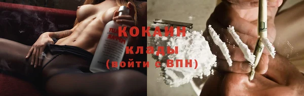 сатива Бронницы