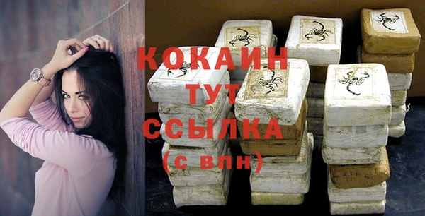 сатива Бронницы